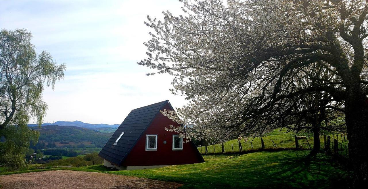 Highland Glen Lodges Rogart Exteriör bild