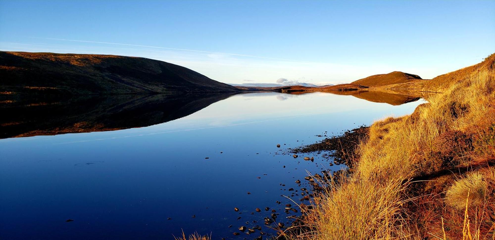 Highland Glen Lodges Rogart Exteriör bild